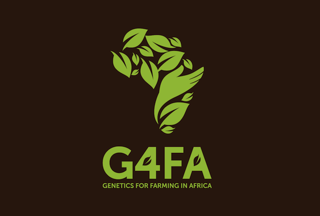 baspixels_africa_resized