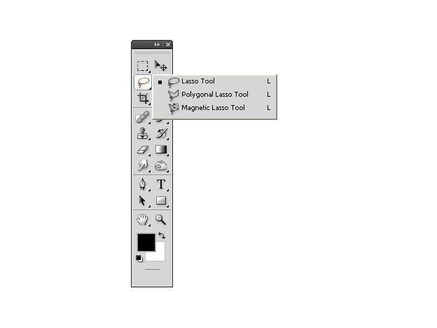 Image result for indesign lasso tool
