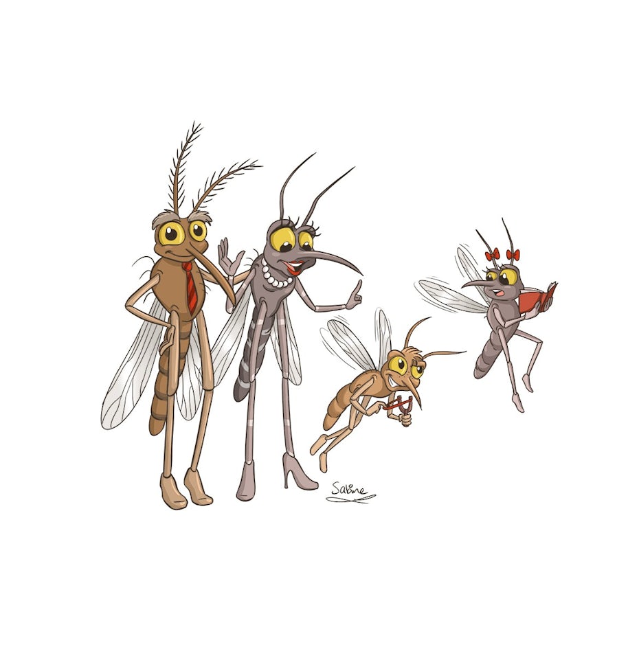 bug illustration