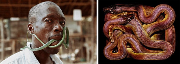 photographers year of the snake