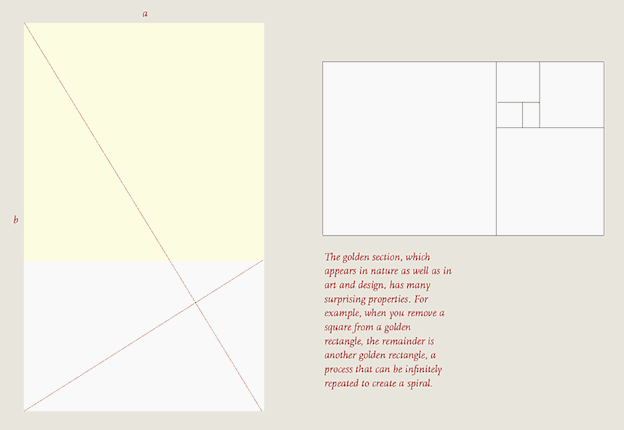 type grid