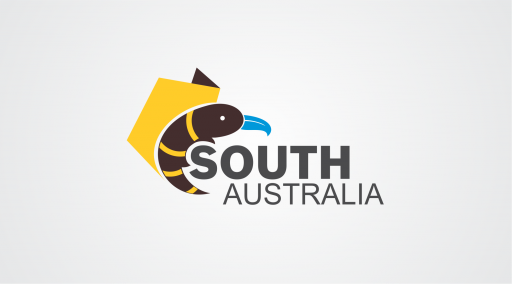 sa13