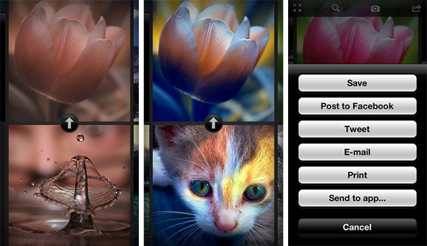 color thief app