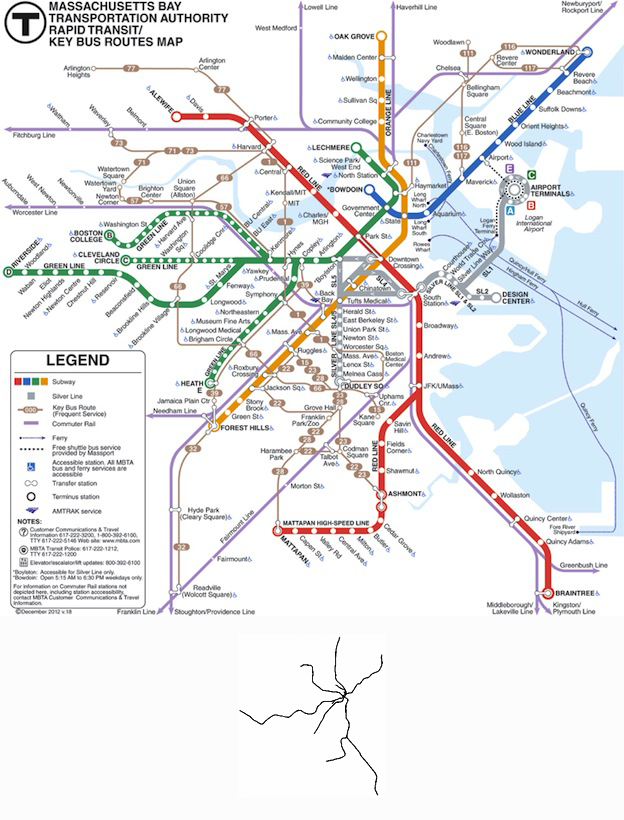 boston_scale