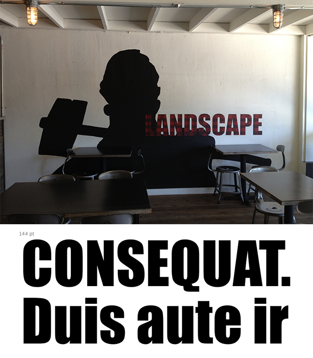 type_landscape