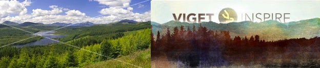 viget