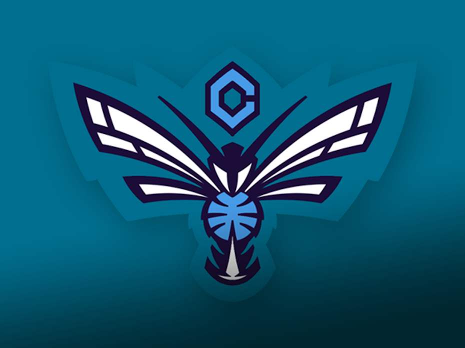 The winning entry in 99designs.com's Charlotte Hornets logo design contest.  (Eren G./99designs.com)