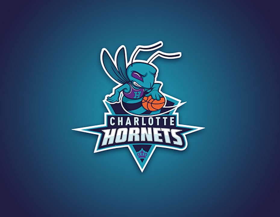 Bobcats unveil new 'Charlotte Hornets' logo shirts, hats and gear