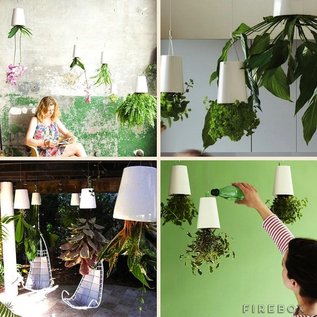 Sky Planters