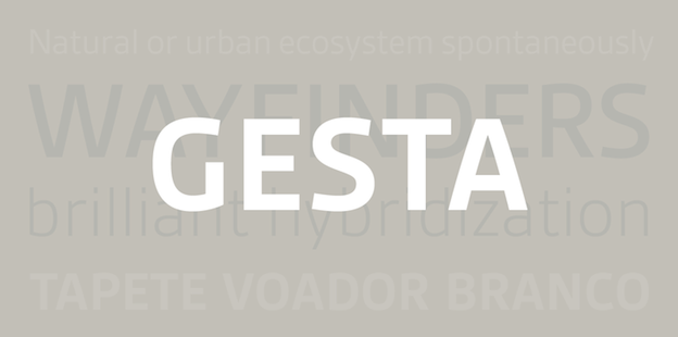 organizing fonts