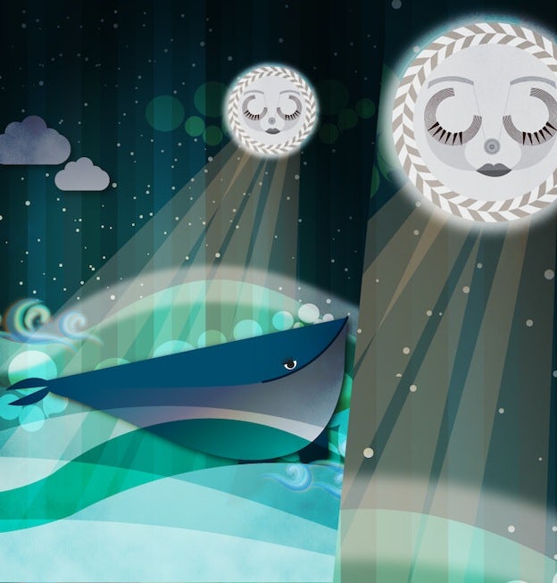Whale Tutorial