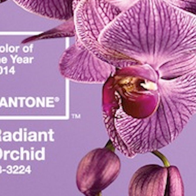 Radiant Orchid The Pantone Color Of The Year 2014 Designer Blog