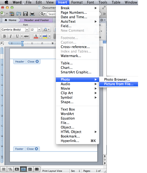 how to do a screenshot on mac and paste into word