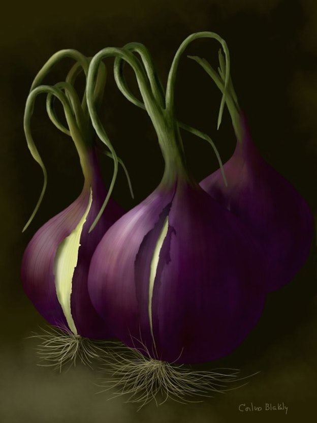 Onions from the Garden, © 2012 Corliss Blakely