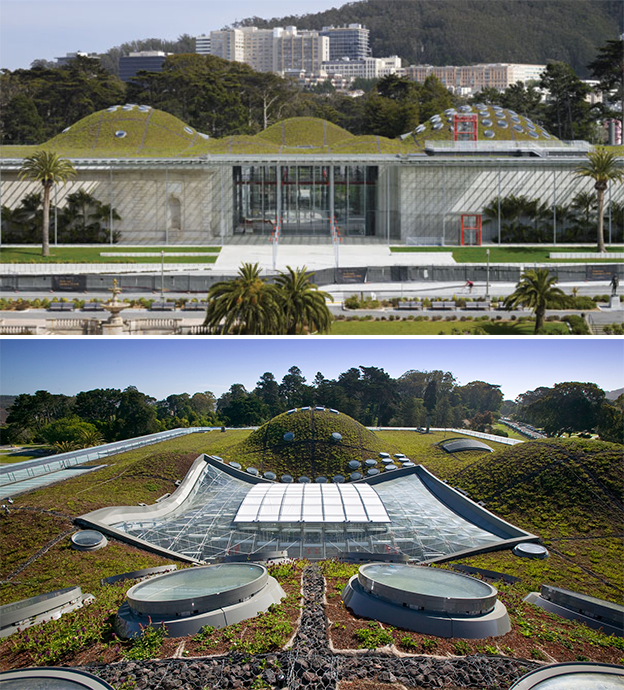 カリフォルニア科学アカデミー、サンフランシスコ