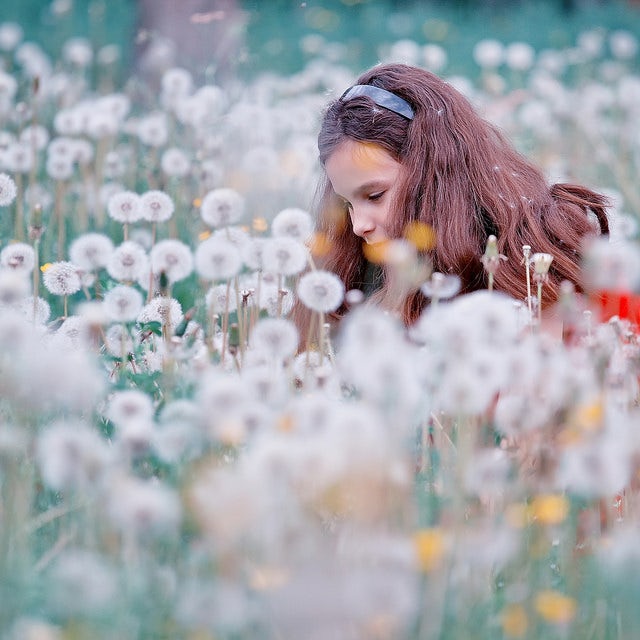 nature 2