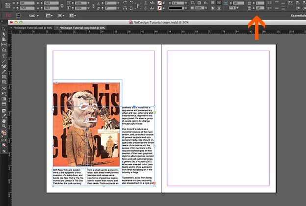 adobe indesign examples