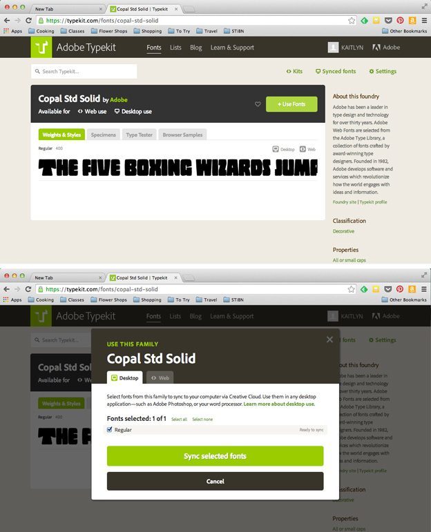 typekit vs fontstand