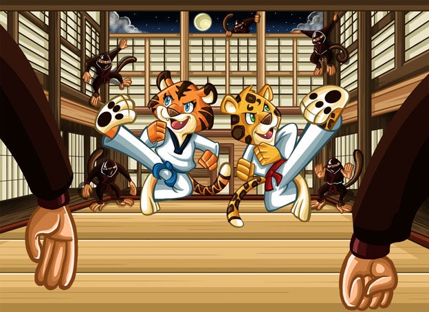 tiger ninjas