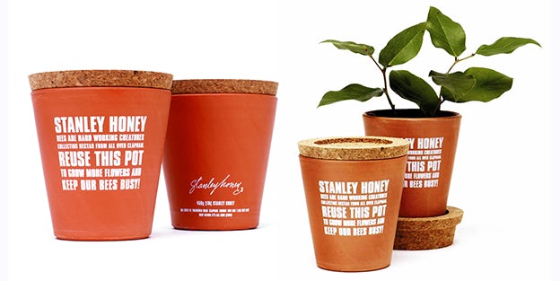 stanleyhoney