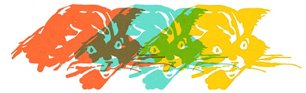 wild cats