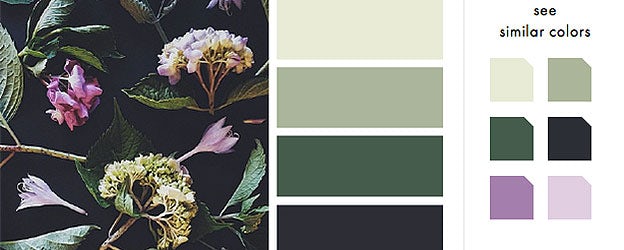 designseeds