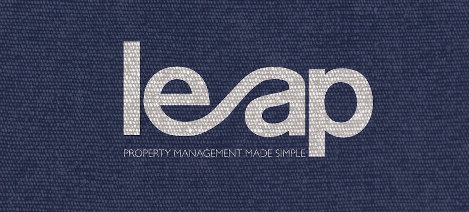 29 leap logo