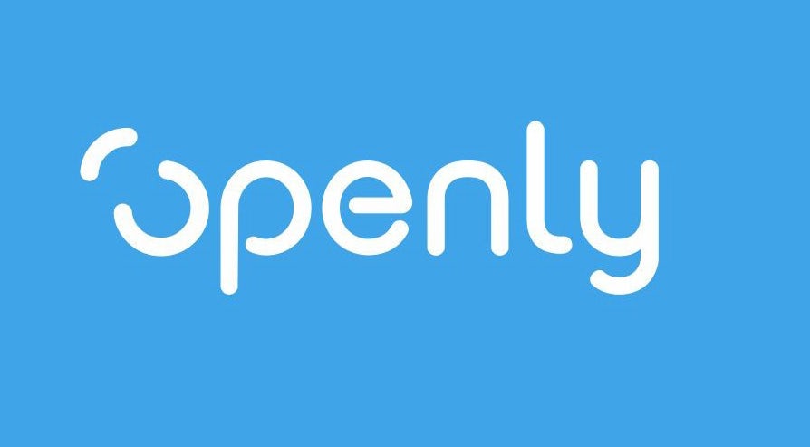 5 openly logo