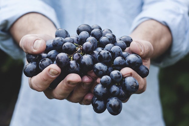 Stock Photography - Grapes