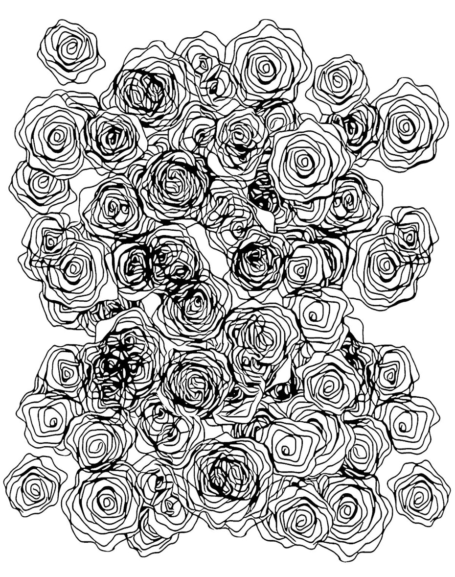 14 malbuch rosen