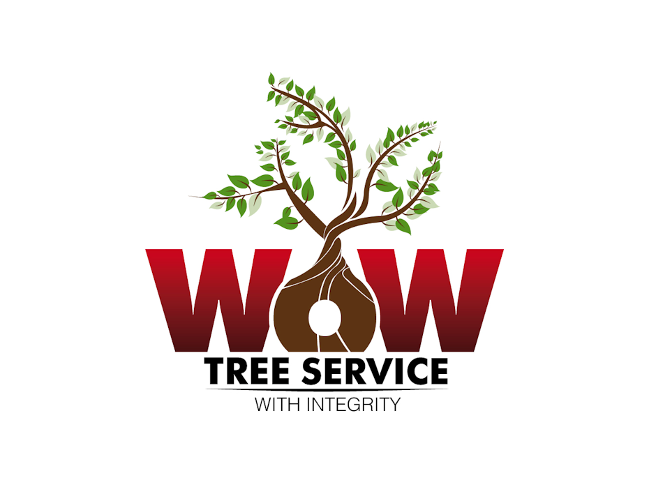 21 tree logo
