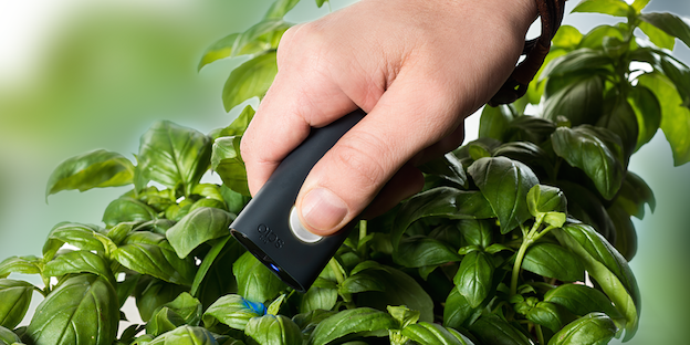 Art and Technology: SCiO