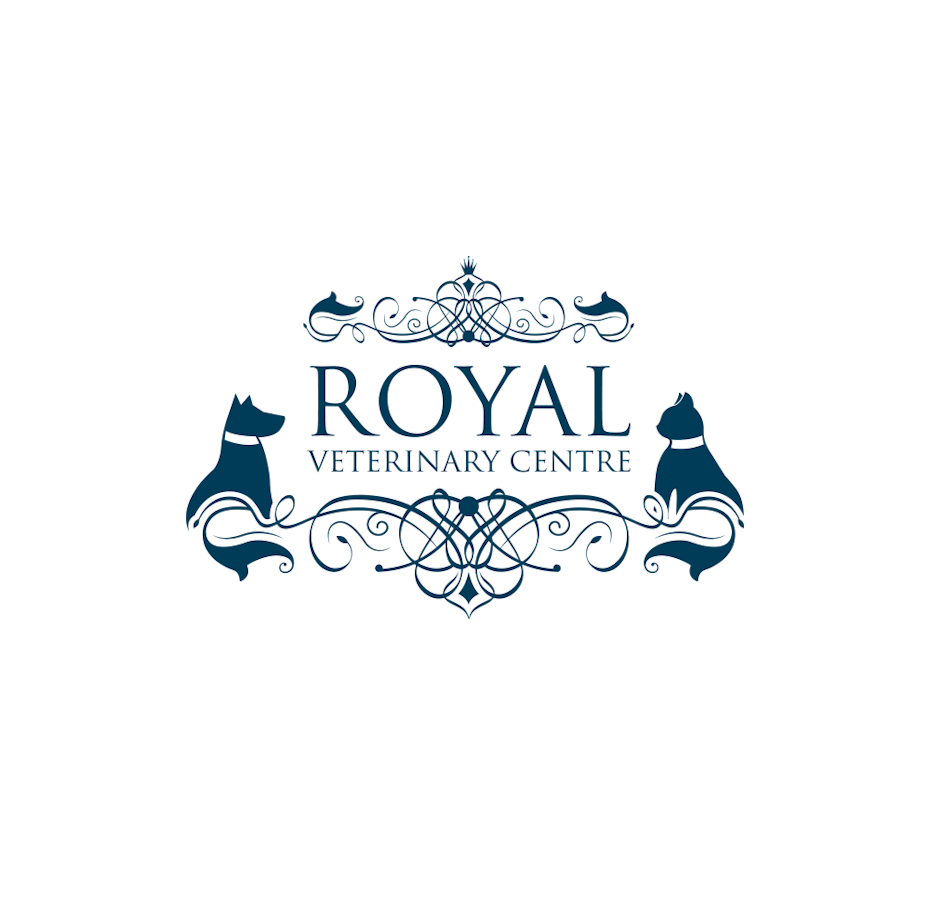 41 royale katzen