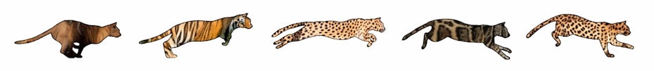 tier design