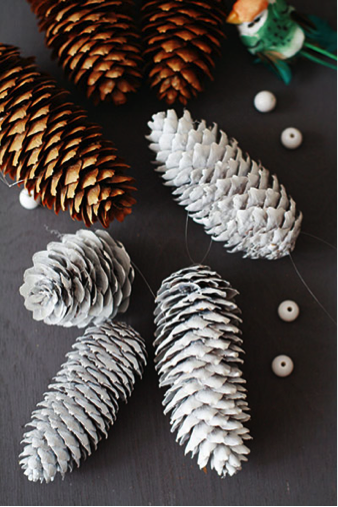Pommes de pin colorées