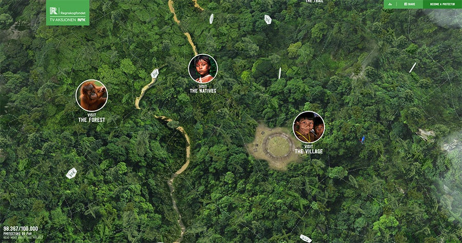 2016 web design trends: 360 degree panorama (Rainforest by Regnskogfondet)