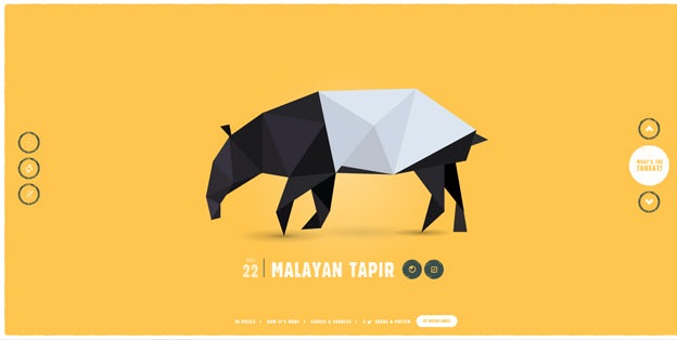 species_in_pieces.com1_