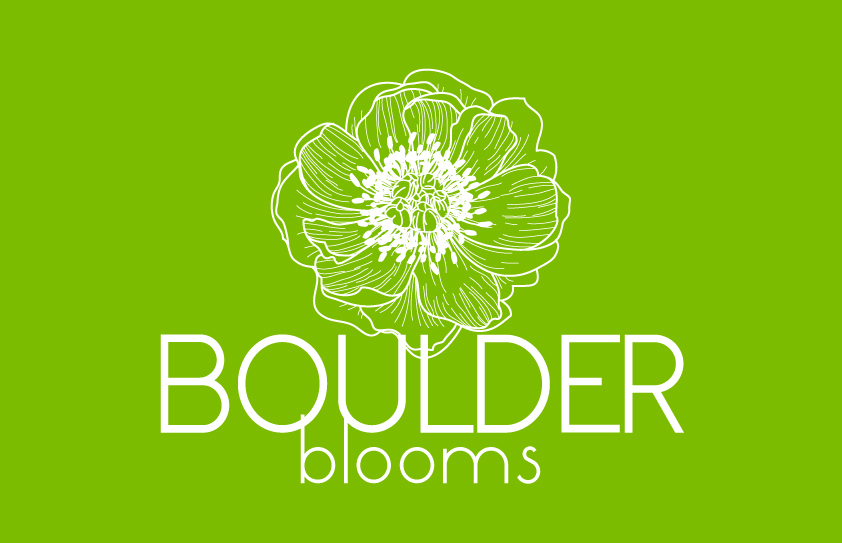 15 logo design grün