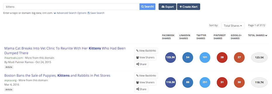 buzzsumo results for kittens