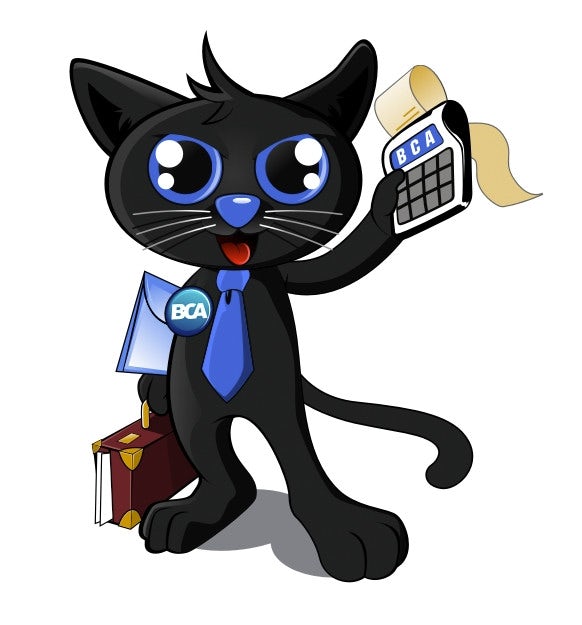 business cat