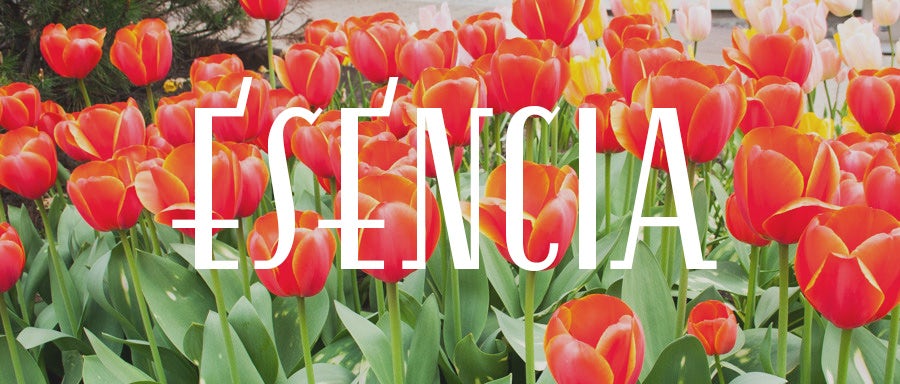 esencia font