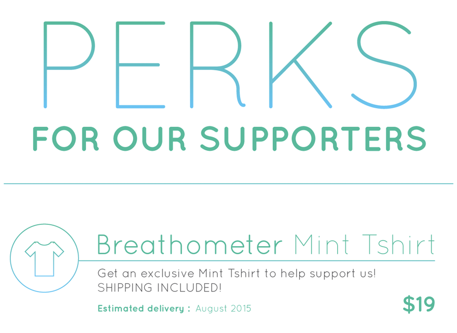 mint indiegogo perks