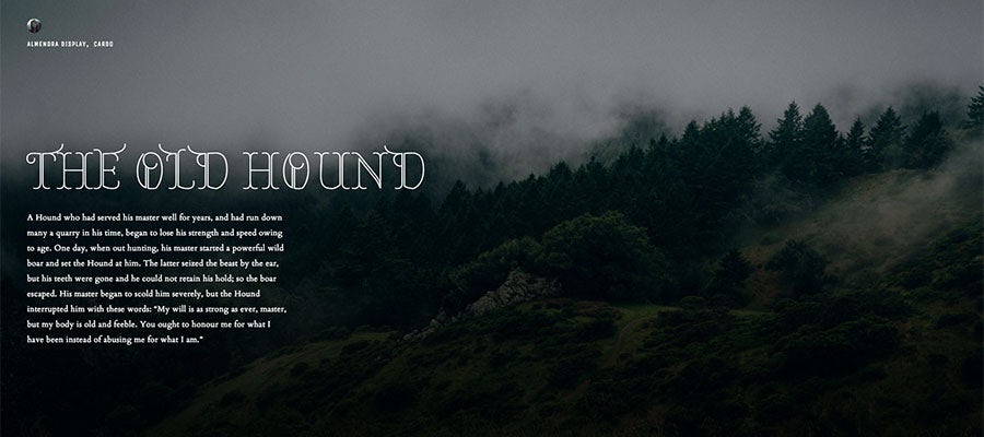 typography pairing