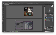 Indesign Software Lasopaaw
