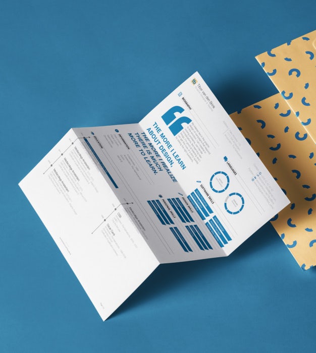 resume infographic