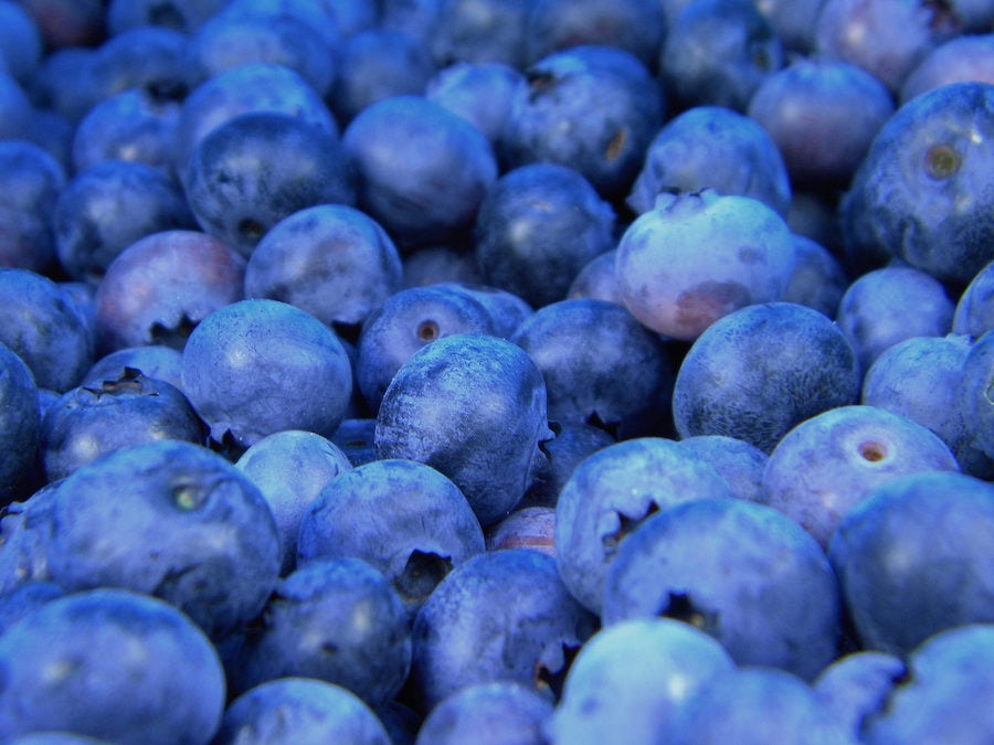 blueberries blue fruit antioxidants berries farmer's market