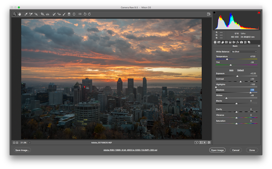 The Adobe Photoshop interface showing a RAW image