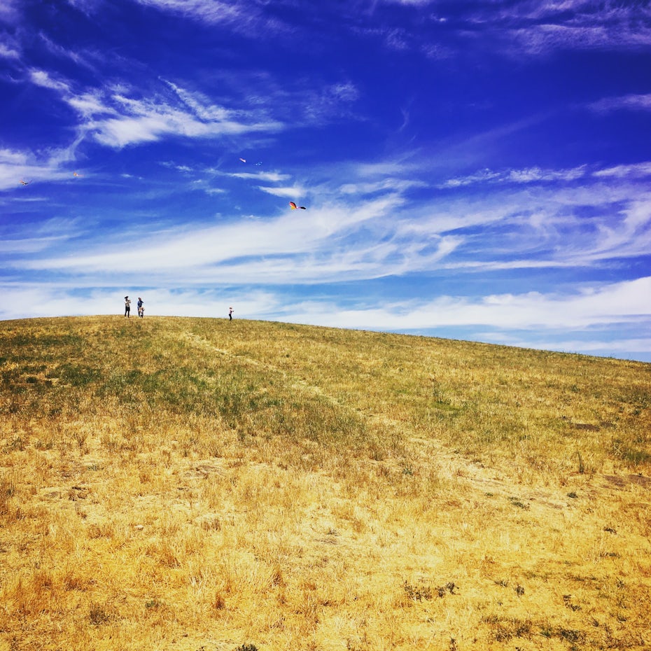 Photograph of a landscape