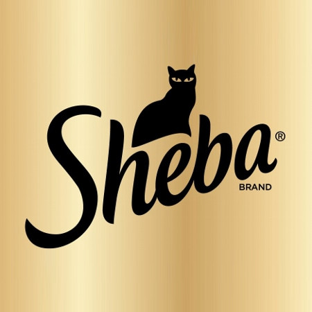 Clothing brands with cat deals logo