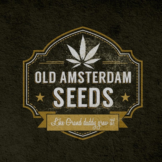 old amsterdam seeds logo